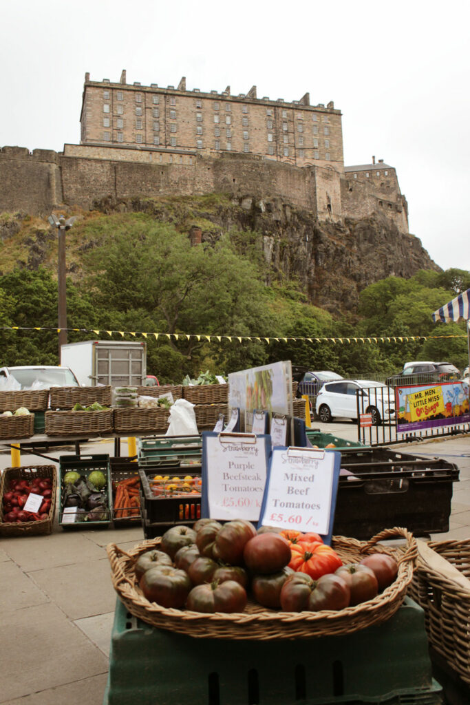 Tomates y Castillo Platillo Crocante